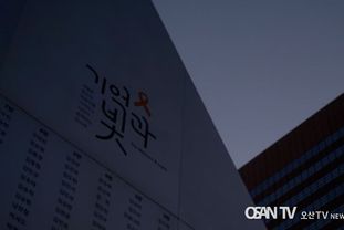 경기도미술관 · DMZ국제다큐멘터리영화제 ‘세월호참사 10주기 추모’ 특별 다큐멘터리 영화 상영회 공동 개최